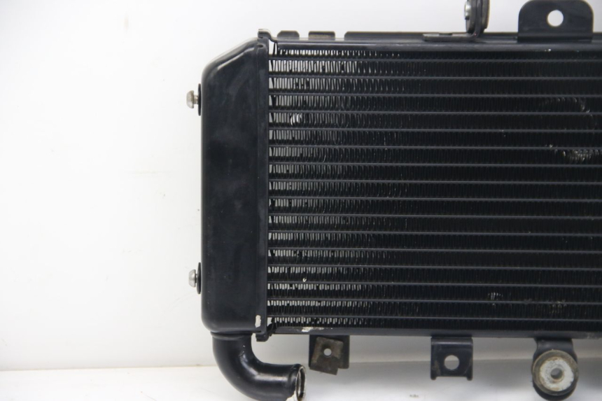 photo de RADIATEUR YAMAHA FZS FAZER 600 (2001 - 2003)