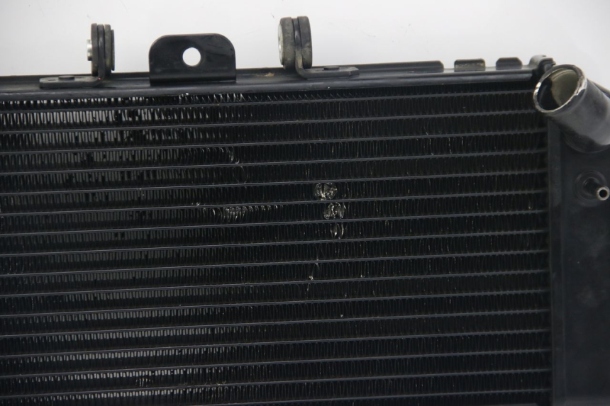 photo de RADIATEUR YAMAHA FZS FAZER 600 (2001 - 2003)