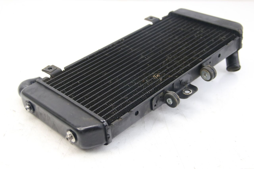 photo de RADIATEUR YAMAHA FZS FAZER 600 (2001 - 2003)
