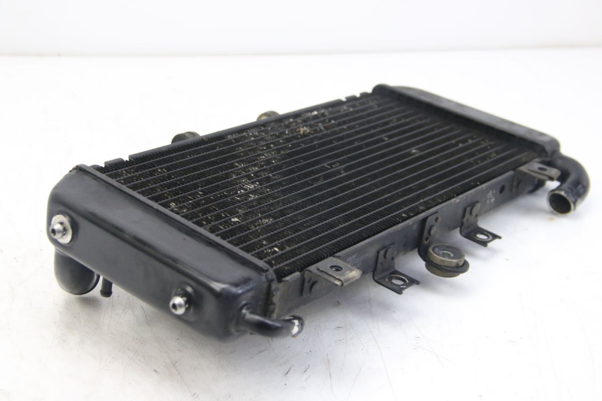 photo de RADIATEUR YAMAHA FZS FAZER 600 (2001 - 2003)