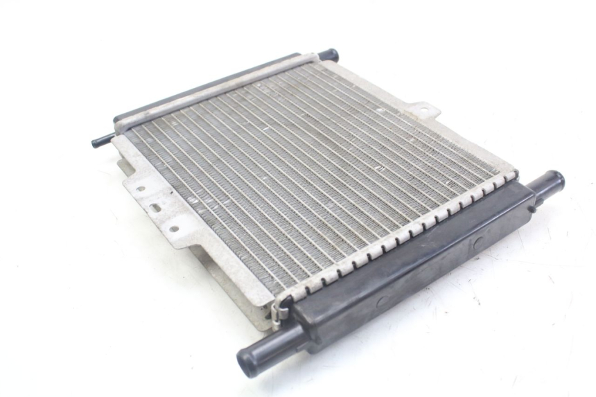 photo de RADIATEUR PEUGEOT GEOPOLIS RS 125 (2007 - 2009)