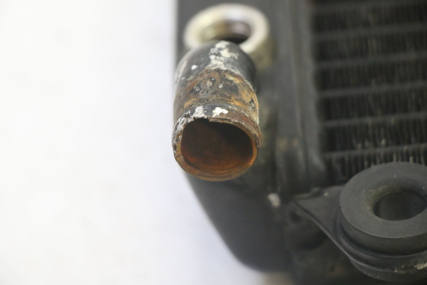 photo de RADIATEUR KAWASAKI GPX R WARBIRD 600 (1988 - 1993) - Gros plan technique