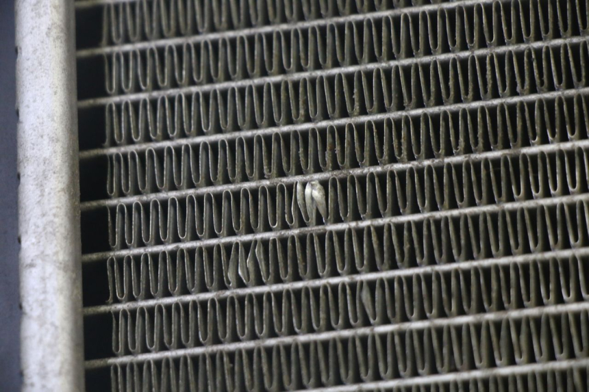 photo de RADIATEUR KYMCO GRAND DINK 125 (2002 - 2007)