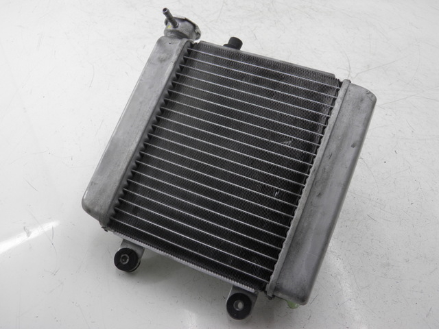 photo de RADIATEUR HONDA FES S-WING SWING ABS 125 (2007 - 2015)