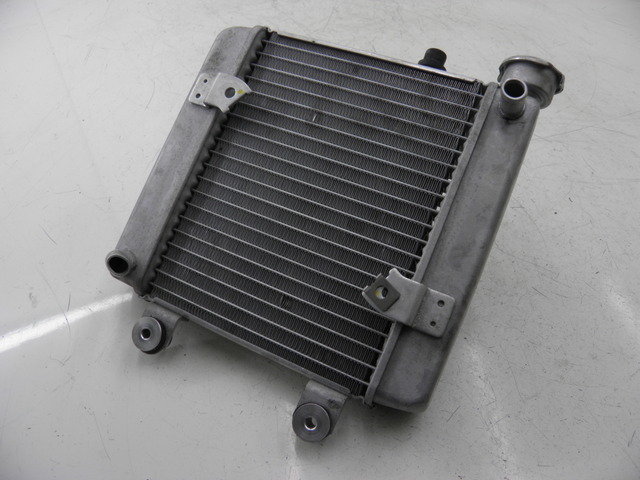 photo de RADIATEUR HONDA FES S-WING SWING ABS 125 (2007 - 2015)