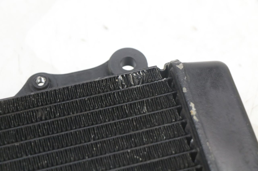 photo de RADIATEUR HONDA NES AROBASE 125 (2000 - 2003)