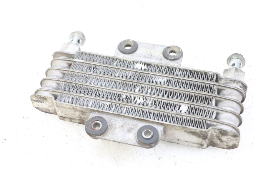 photo de RADIATEUR HUILE HYOSUNG GV AQUILA 125 (2000 - 2004)