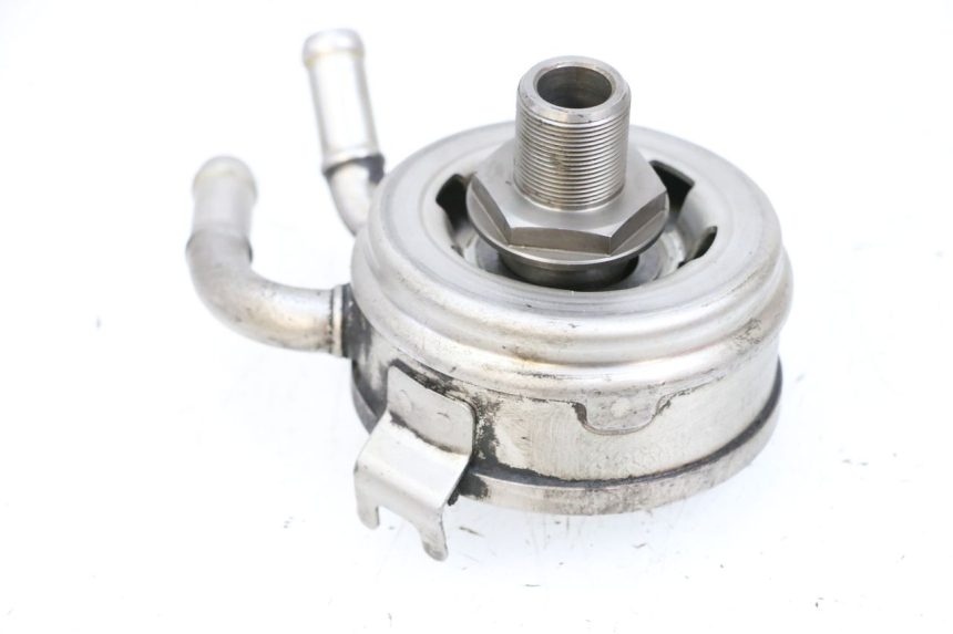 photo de RADIATEUR HUILE SUZUKI BURGMAN EXECUTIVE ABS 650 (2006 - 2012) - Vue d’ensemble