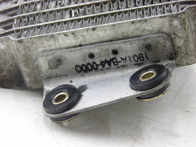 photo de RADIATEUR HUILE DAELIM VJ ROADWIN 125 (2008 - 2010) - Autre angle de vue