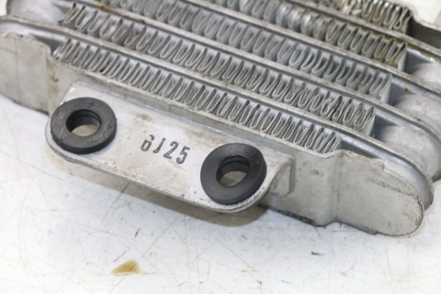 photo de RADIATEUR HUILE DAELIM VJ ROADWIN 125 (2004 - 2007) - Détail de la pièce