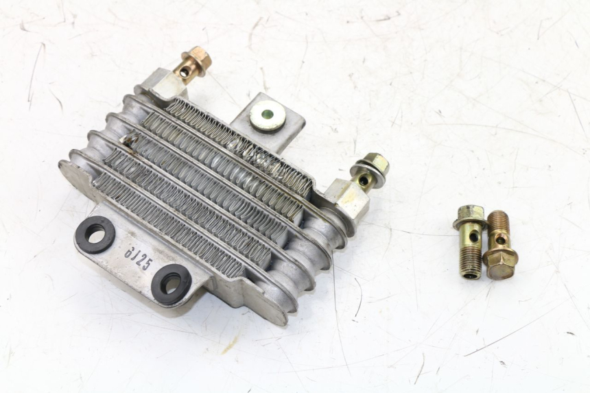 photo de RADIATEUR HUILE DAELIM VJ ROADWIN 125 (2004 - 2007) - Gros plan technique