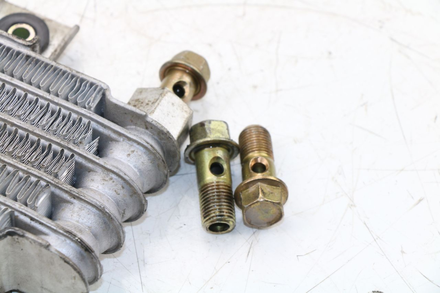 photo de RADIATEUR HUILE DAELIM VJ ROADWIN 125 (2004 - 2007) - Marquages et références