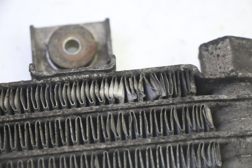 photo de RADIATEUR HUILE DAELIM HISTORY 125 (2001 - 2002)