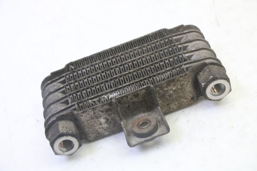 photo de RADIATEUR HUILE DAELIM HISTORY 125 (2001 - 2002)