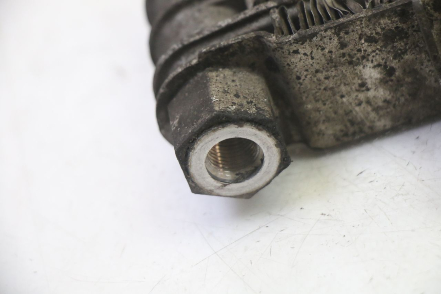 photo de RADIATEUR HUILE DAELIM HISTORY 125 (2001 - 2002)