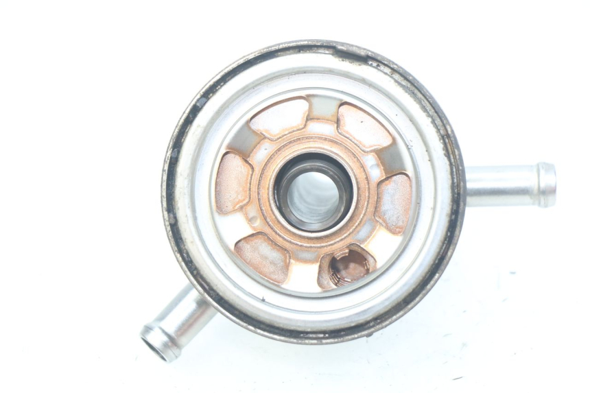 photo de RADIATEUR HUILE YAMAHA MT-07 MT07 ABS 700 (2014 - 2017)