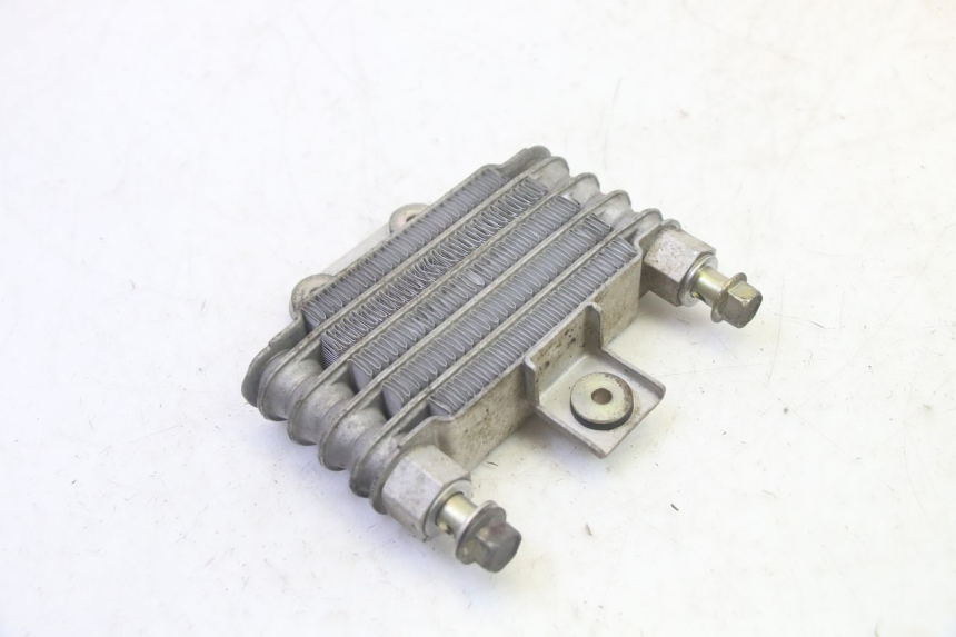 photo de RADIATEUR HUILE DAELIM S1 125 (2007 - 2016) - Détail de la pièce