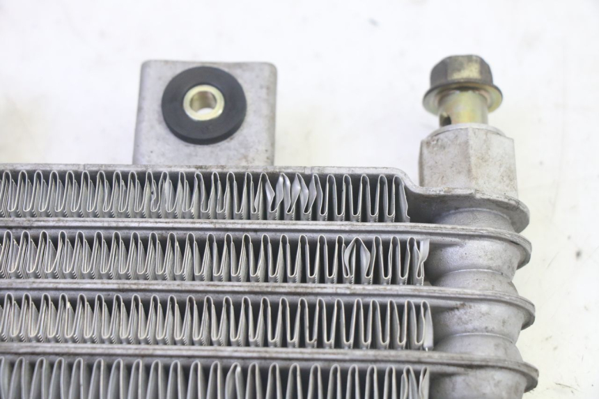 photo de RADIATEUR HUILE DAELIM S1 125 (2007 - 2016) - Vue d’ensemble