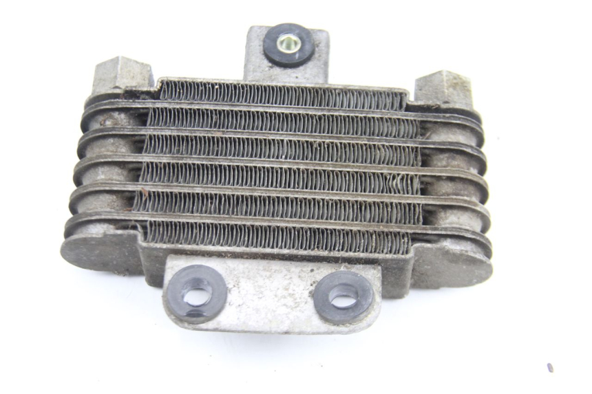 photo de RADIATEUR HUILE DAELIM S2 125 (2006 - 2007)