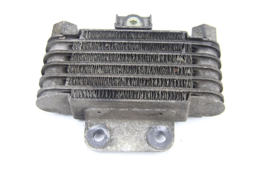 photo de RADIATEUR HUILE DAELIM S2 125 (2006 - 2007)