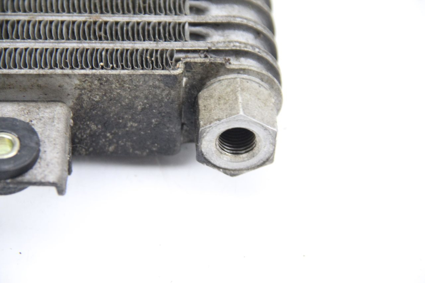 photo de RADIATEUR HUILE DAELIM S2 125 (2006 - 2007)