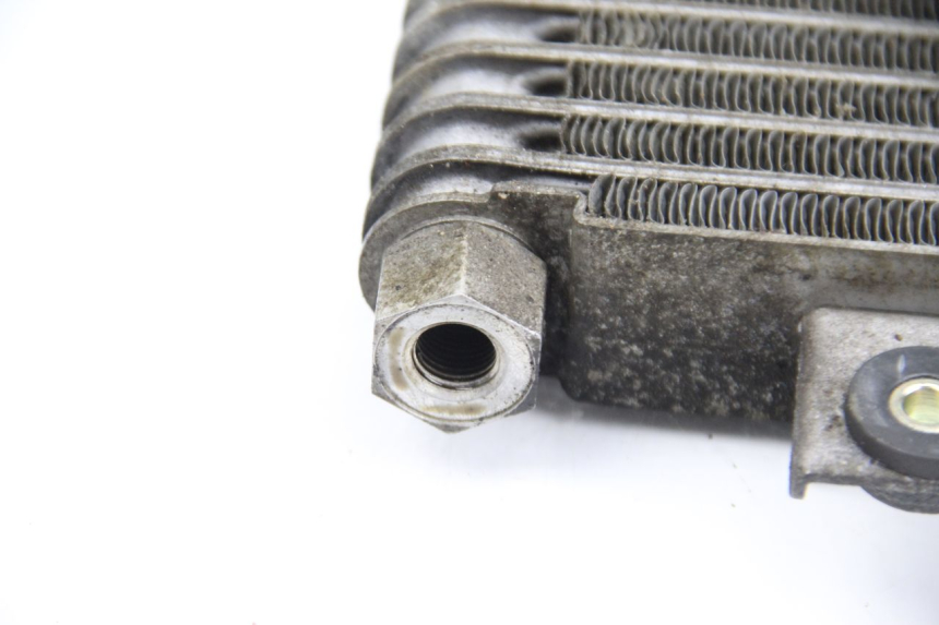 photo de RADIATEUR HUILE DAELIM S2 125 (2006 - 2007)