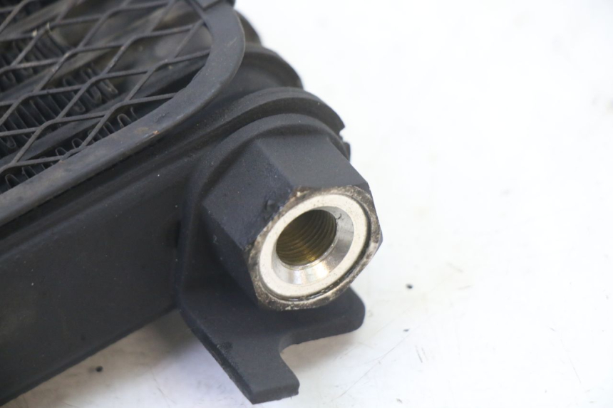 photo de RADIATEUR HUILE SUZUKI SV S 650 (2003 - 2009)