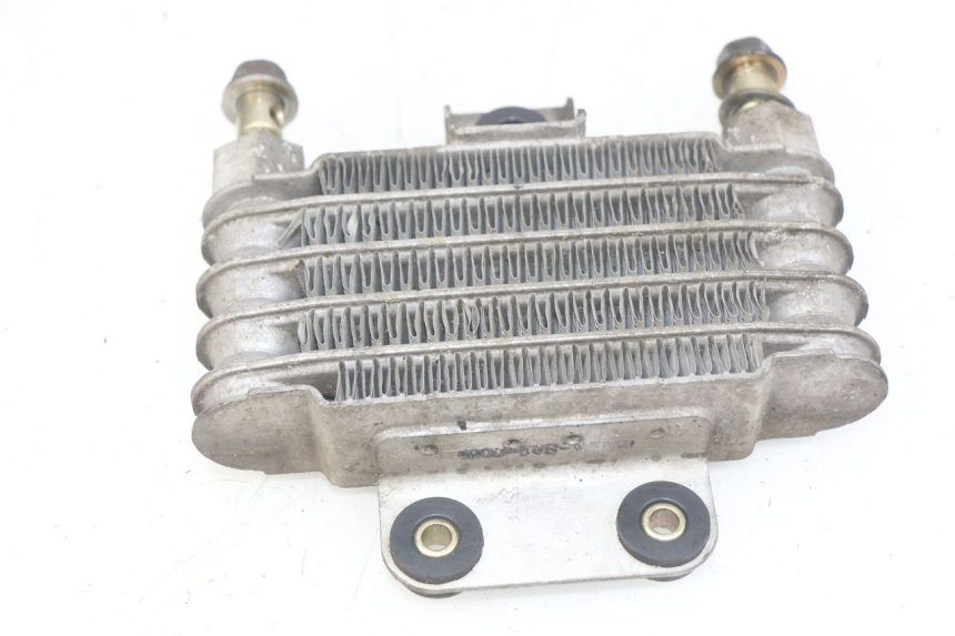 photo de RADIATEUR HUILE DAELIM VJ ROADWIN FI 125 (2008 - 2017)