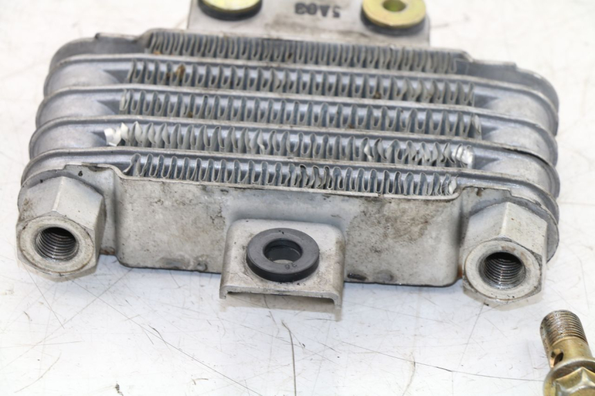 photo de RADIATEUR HUILE DAELIM VJ ROADWIN FI 125 (2008 - 2017)