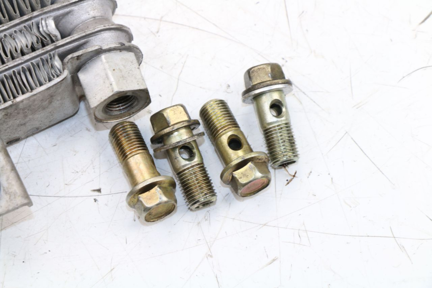 photo de RADIATEUR HUILE DAELIM VJ ROADWIN FI 125 (2008 - 2017)