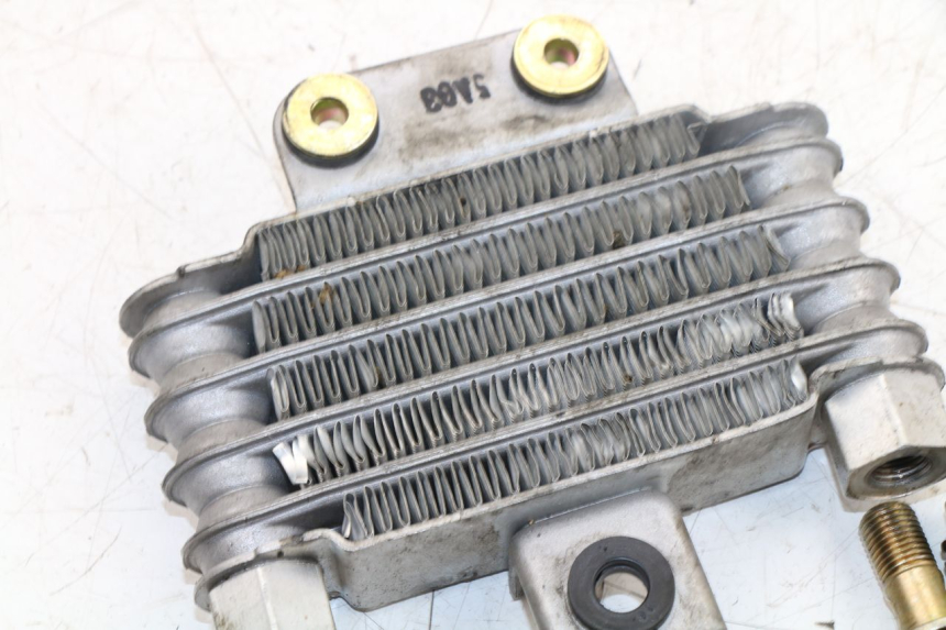photo de RADIATEUR HUILE DAELIM VJ ROADWIN FI 125 (2008 - 2017)