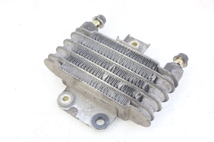 photo de RADIATEUR HUILE DAELIM VL DAYSTAR 125 (2000 - 2011)