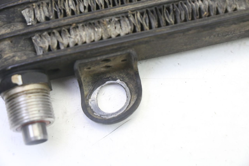 photo de RADIATEUR HUILE YAMAHA YFM R RAPTOR 250 (2008 - 2014)