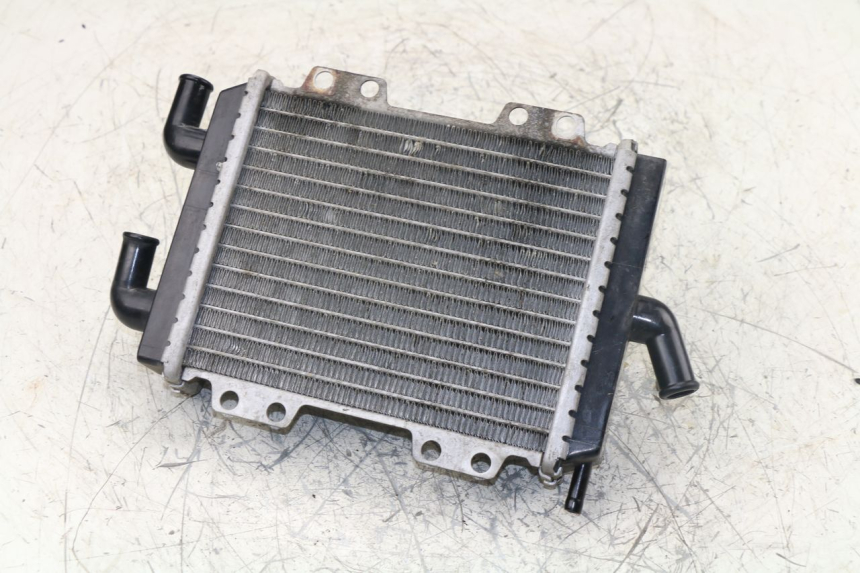 photo de RADIATEUR PEUGEOT JET FORCE TSDI 50 (2003 - 2009)