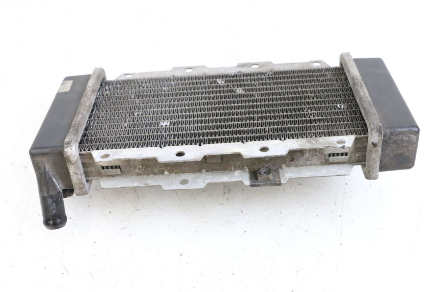 photo de RADIATEUR SYM JOYRIDE EVO 125 (2009 - 2016)