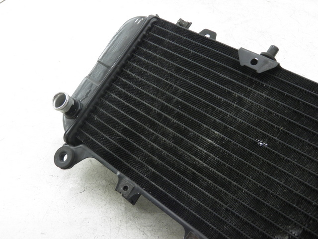 photo de RADIATEUR KAWASAKI ZZR 600 (1995 - 2004)