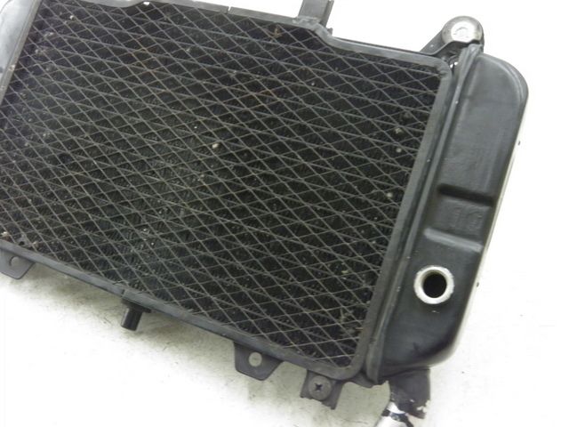 photo de RADIATEUR KAWASAKI ZZR 600 (1995 - 2004)