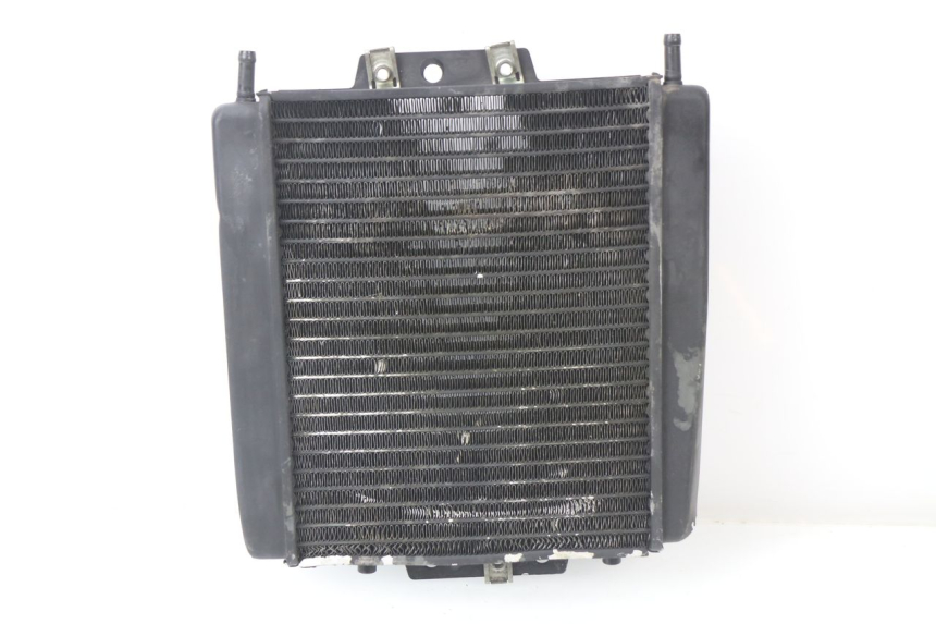 photo de RADIATEUR PIAGGIO MP3 LT 300 (2010 - 2016)