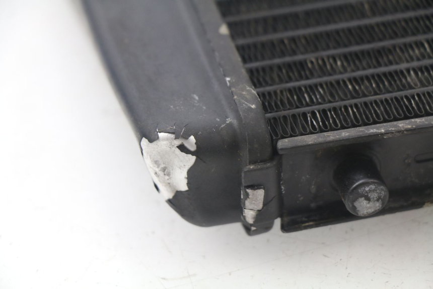 photo de RADIATEUR PIAGGIO MP3 LT 300 (2010 - 2016)