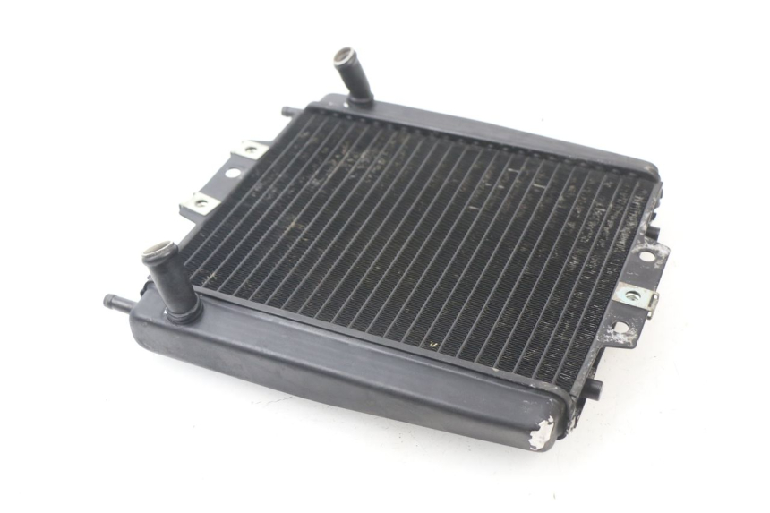 photo de RADIATEUR PIAGGIO MP3 LT 300 (2010 - 2016)