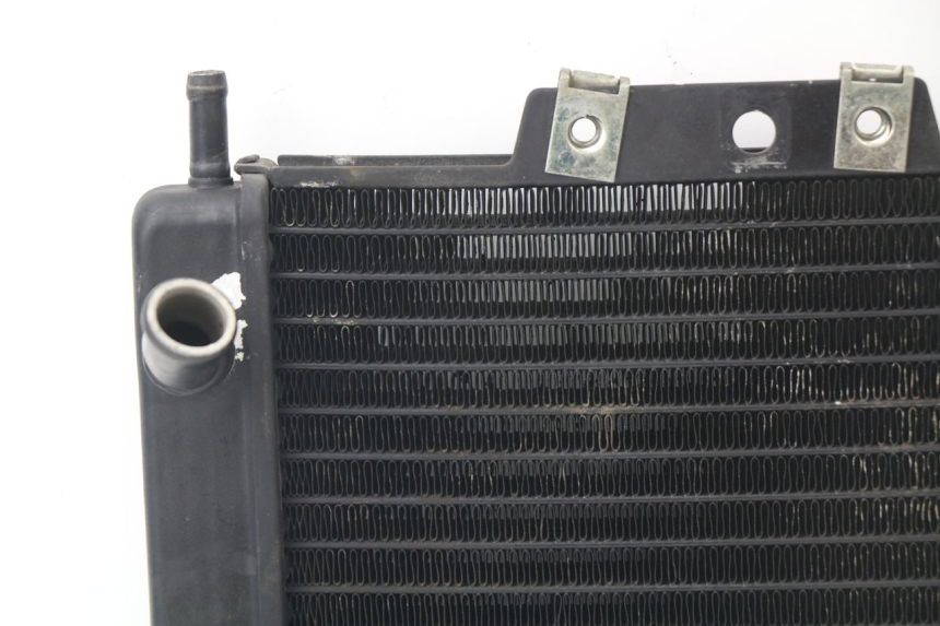 photo de RADIATEUR PIAGGIO MP3 LT 300 (2010 - 2016)
