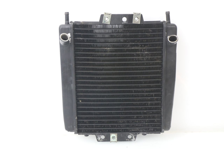 photo de RADIATEUR PIAGGIO MP3 LT 300 (2010 - 2016)