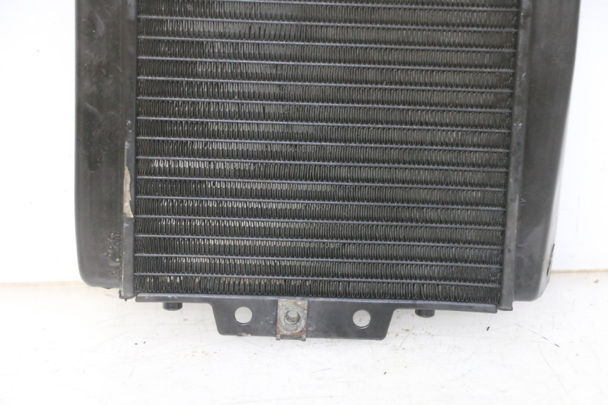 photo de RADIATEUR PIAGGIO MP3 LT 300 (2010 - 2016)
