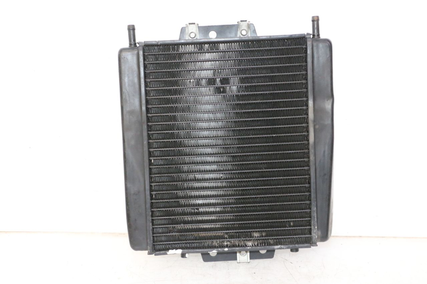 photo de RADIATEUR PIAGGIO MP3 LT 300 (2010 - 2016)