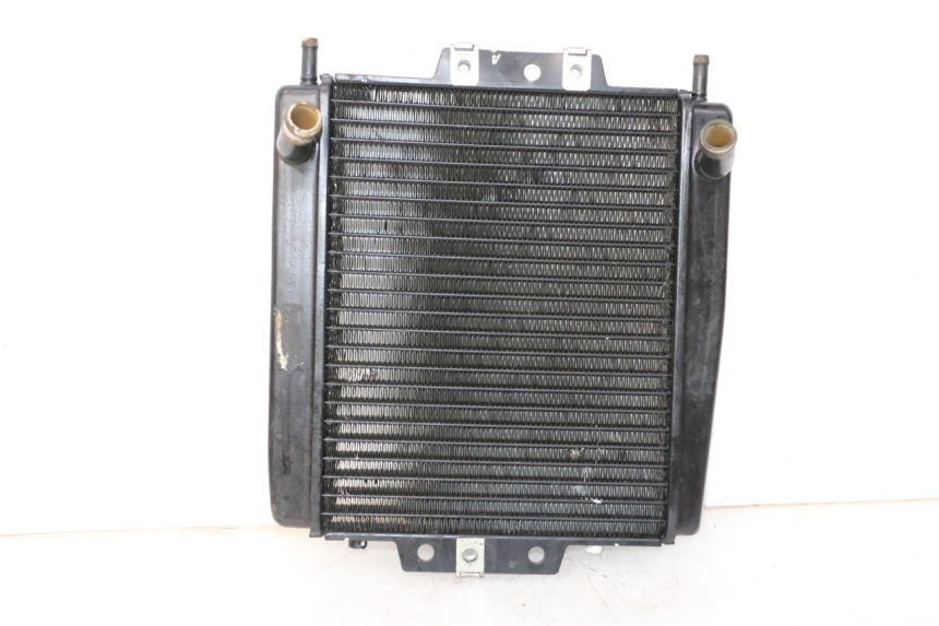 photo de RADIATEUR PIAGGIO MP3 LT 300 (2010 - 2016)