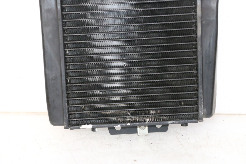 photo de RADIATEUR PIAGGIO MP3 LT 300 (2010 - 2016)