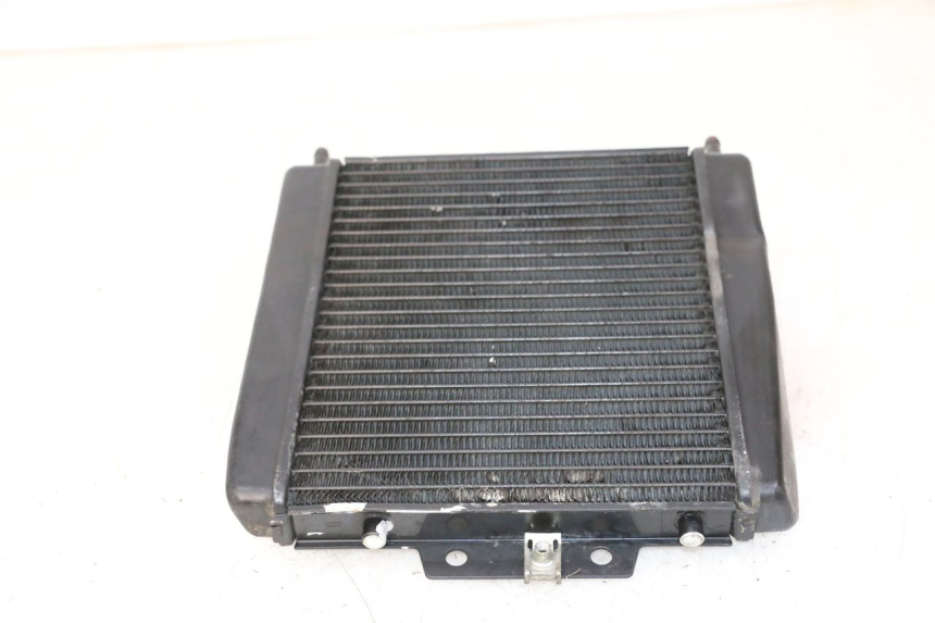 photo de RADIATEUR PIAGGIO MP3 LT 300 (2010 - 2016)