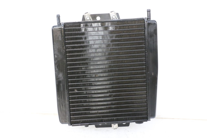 photo de RADIATEUR PIAGGIO MP3 500 (2014 - 2016)