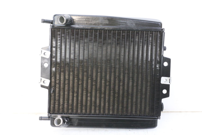 photo de RADIATEUR PIAGGIO MP3 500 (2014 - 2016)