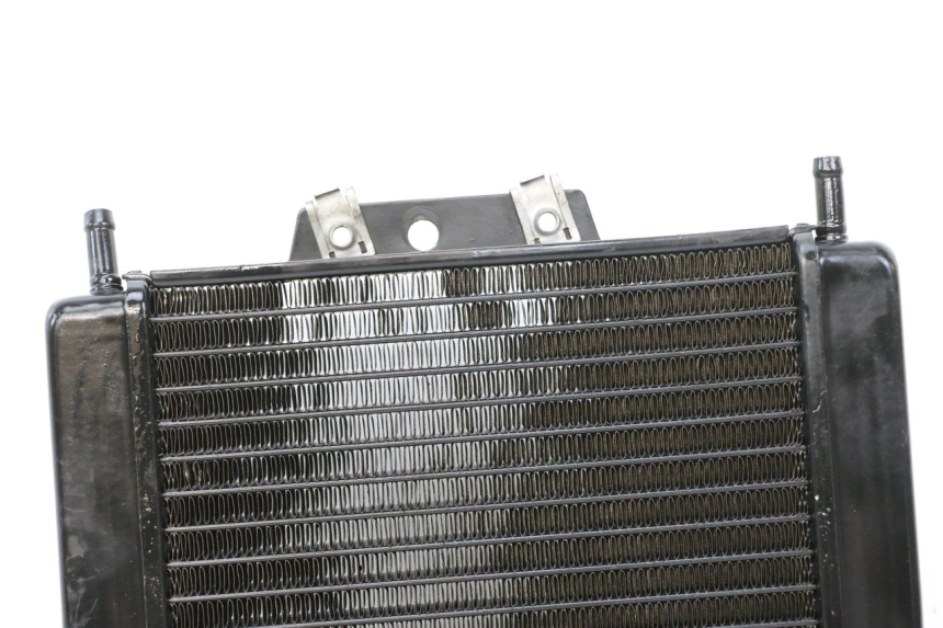 photo de RADIATEUR PIAGGIO MP3 500 (2014 - 2016)